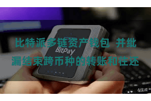 比特派多链资产钱包 并纰漏结束跨币种的转账和往还