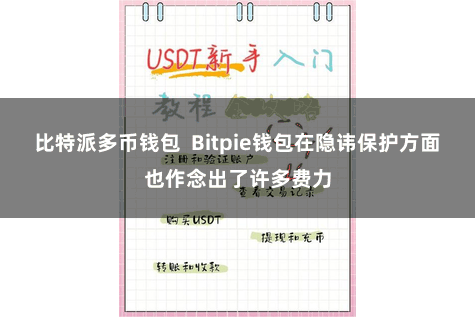 比特派多币钱包  Bitpie钱包在隐讳保护方面也作念出了许多费力