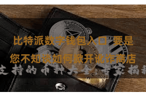 比特派数字钱包入口  要是您不知谈如何掀开讹诈商店