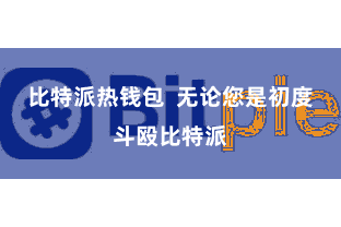 比特派热钱包  无论您是初度斗殴比特派