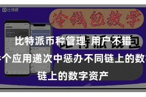 比特派币种管理  用户不错在并吞个应用递次中惩办不同链上的数字资产