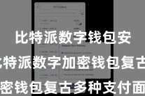比特派数字钱包安全  比特派数字加密钱包复古多种支付面容