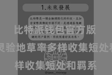 比特派钱包官方版  纰漏灵验地草率多样收集短处和羁系